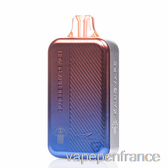 Kangvape TC8000 Stylo Vape Jetable Pêche Myrtille